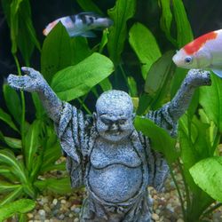 Pet Supermarket - Looking for some peace and Zen