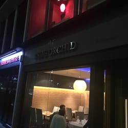 Blue Orchid - The front