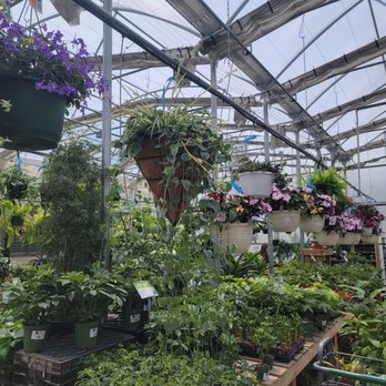 Colonial Gardens - Outdoor hanging baskets - Nurseries & Gardening Near Me - Blue Springs, Missouri Colonial Gardens - Outdoor hanging baskets - Nurseries & Gardening Near Me - Blue Springs, Missouri