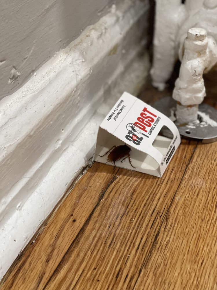 FOREST HILL PROPERTIES Updated August 2024 42 Photos & 11 Reviews 111 Davey St, Bloomfield