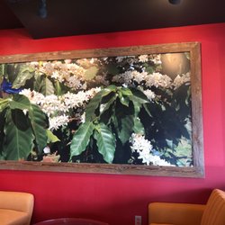 Firecreek Coffee - Great pic
