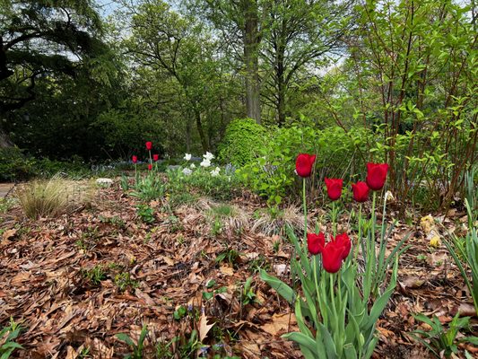 Civic Garden Center of Greater Cincinnati by null
