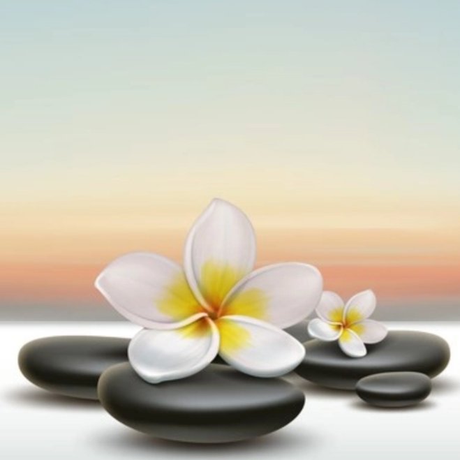 NewPerspective Recovery Counseling - grief counselor in Tampa, FL