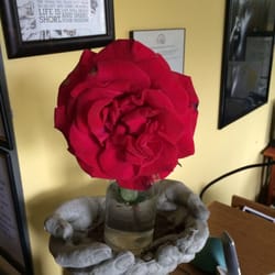Heart and Soul Community Counseling - Rose grown in the Heart and Soul garden. 8/10/14