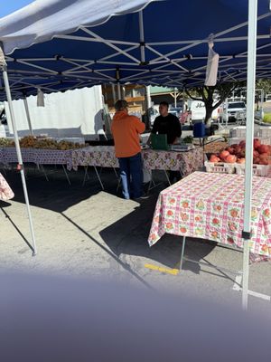 Princeton Plaza Farmer Market - CHAMP - San Jose by null