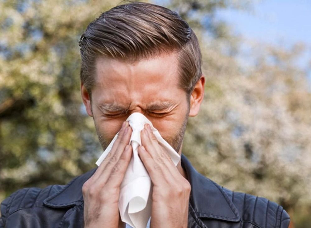 Peacock Mold Services - mold inspector in Keyport, NJ