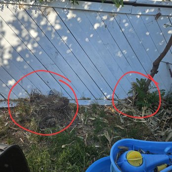 Genesis Tree Care - Tree Services Near Me - Whittier, California Genesis Tree Care - Tree Services Near Me - Whittier, California