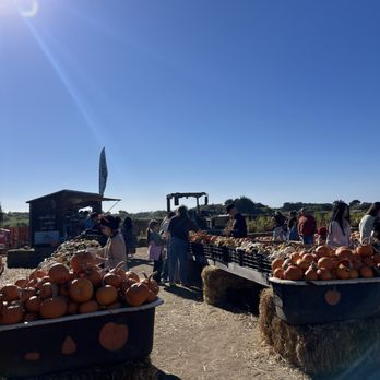 Farmer John's Pumpkin Farm - Pumpkin Patches Near Me - Half Moon Bay, California Farmer John's Pumpkin Farm - Pumpkin Patches Near Me - Half Moon Bay, California