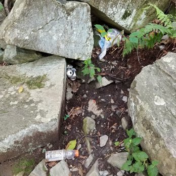 Scott's Run Nature Preserve - Leave no trace, please! - Parks Near Me - McLean, Virginia