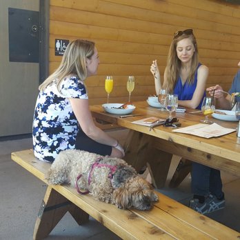 Ocotillo - Fur baby friendly! - New American Near Me - Phoenix, Arizona
