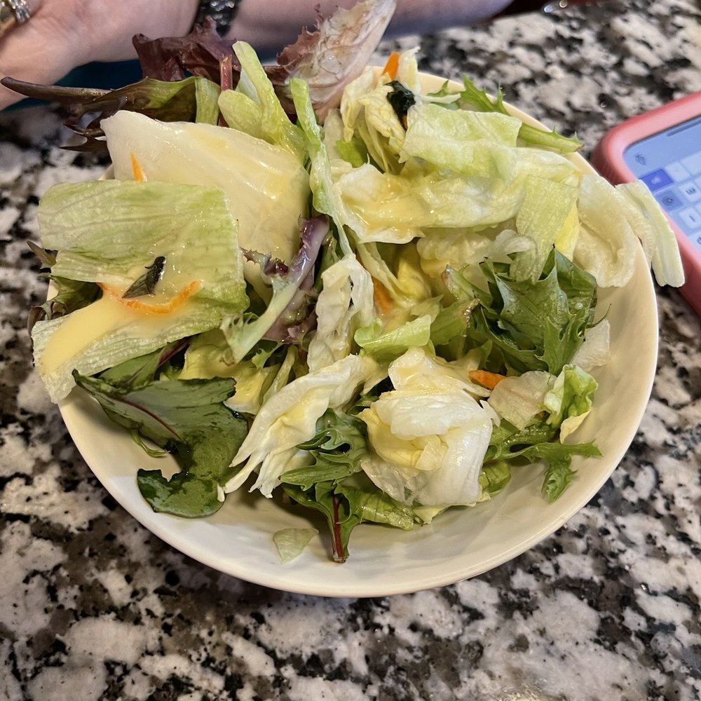 Ninza Sushi East - Garden Salad - Sushi Bars Near Me - Wichita, Kansas Ninza Sushi East - Garden Salad - Sushi Bars Near Me - Wichita, Kansas