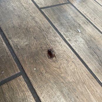 Jack's Family Restaurant - this is the roach. - Burgers Near Me - Tuscaloosa, Alabama Jack's Family Restaurant - this is the roach. - Burgers Near Me - Tuscaloosa, Alabama