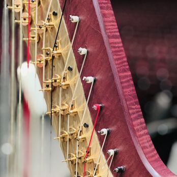 Tulsa Symphony Orchestra - Did you know? The harp is one of the oldest instruments in the world, dating back to around 15,000 BC - Arts & Entertainment Near Me - Tulsa, Oklahoma Tulsa Symphony Orchestra - Did you know? The harp is one of the oldest instruments in the world, dating back to around 15,000 BC - Arts & Entertainment Near Me - Tulsa, Oklahoma