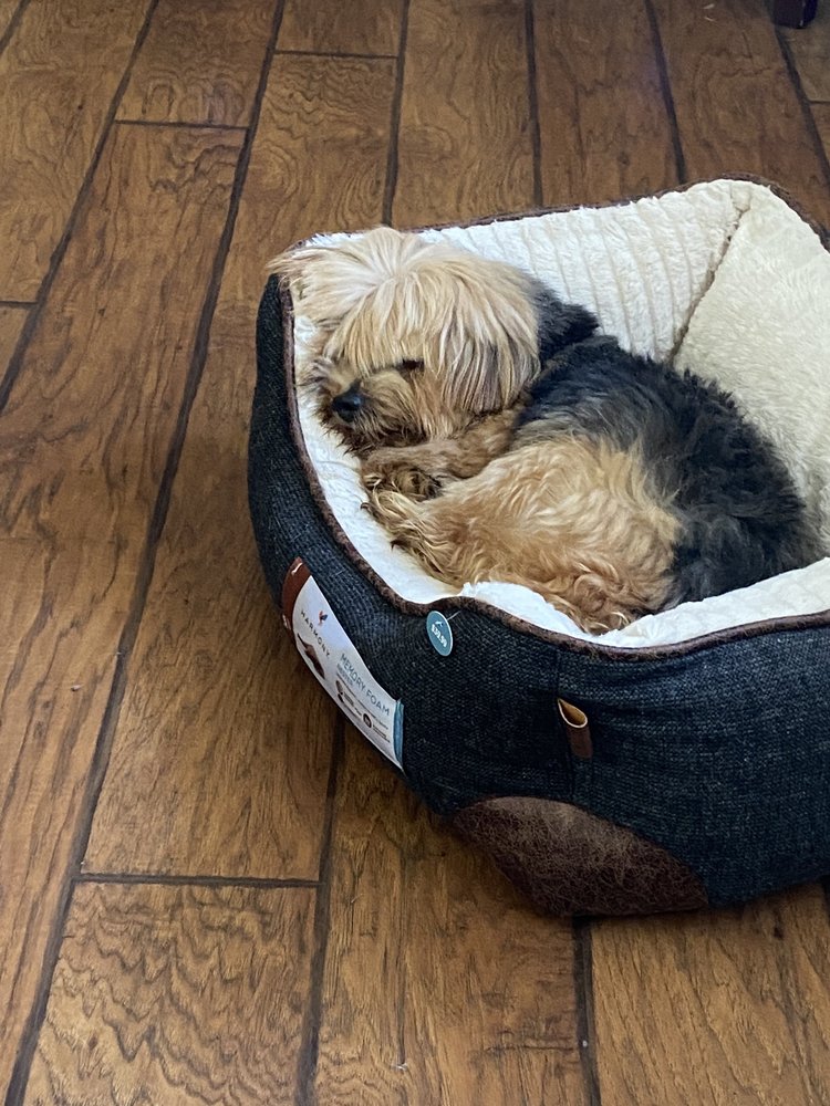 THE LOVEJOY FOUNDATION 102 Photos & 112 Reviews 1121 W Hillcrest