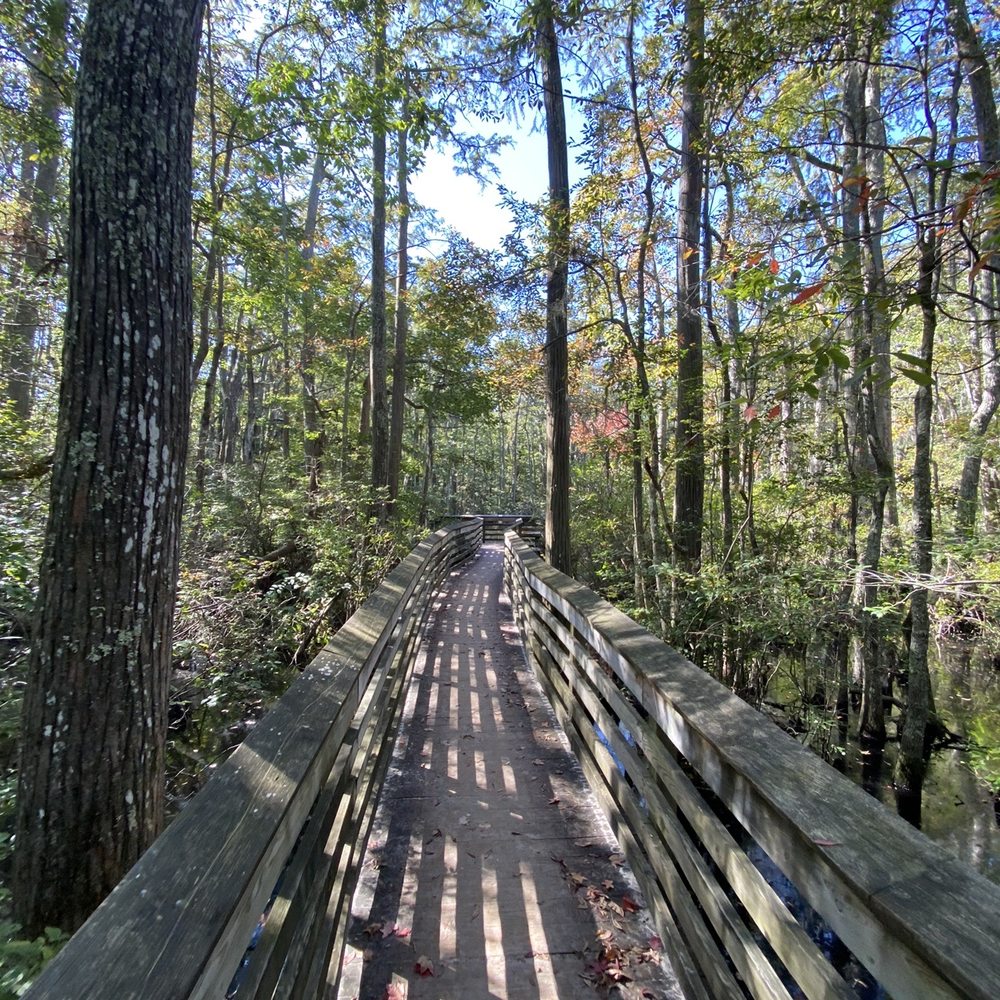 First Landing State Park - Parks Near Me - Virginia Beach, Virginia First Landing State Park - Parks Near Me - Virginia Beach, Virginia
