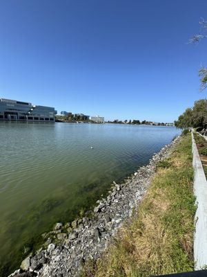 Waterside Grill + Lounge by null