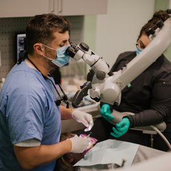 Alexandria Endodontics - Dr. Daniel Lester