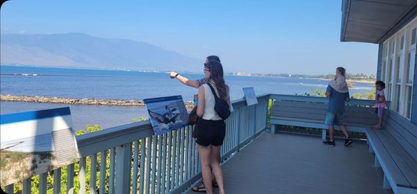 Hawaiian Islands Humpback Whale National Marine Sanctuary Visitor Center by null