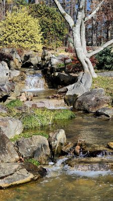 Birmingham Botanical Gardens by null