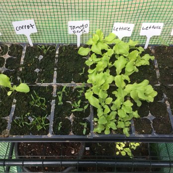 The Garden Guy - Nurseries & Gardening Near Me - Kittanning, Pennsylvania The Garden Guy - Nurseries & Gardening Near Me - Kittanning, Pennsylvania