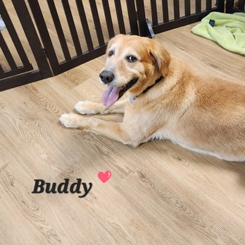 Sandy’s Grooming - Pet Groomers Near Me - Peoria, Arizona