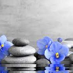 Bluebell Spa - Bluebell is a symbol of humility, constancy, gratitude and everlasting love.