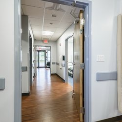 Minimally Invasive Vascular
