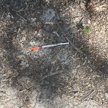 Rye Preserve - Droppings of the crackus headus - Hiking Near Me - Parrish, Florida Rye Preserve - Droppings of the crackus headus - Hiking Near Me - Parrish, Florida