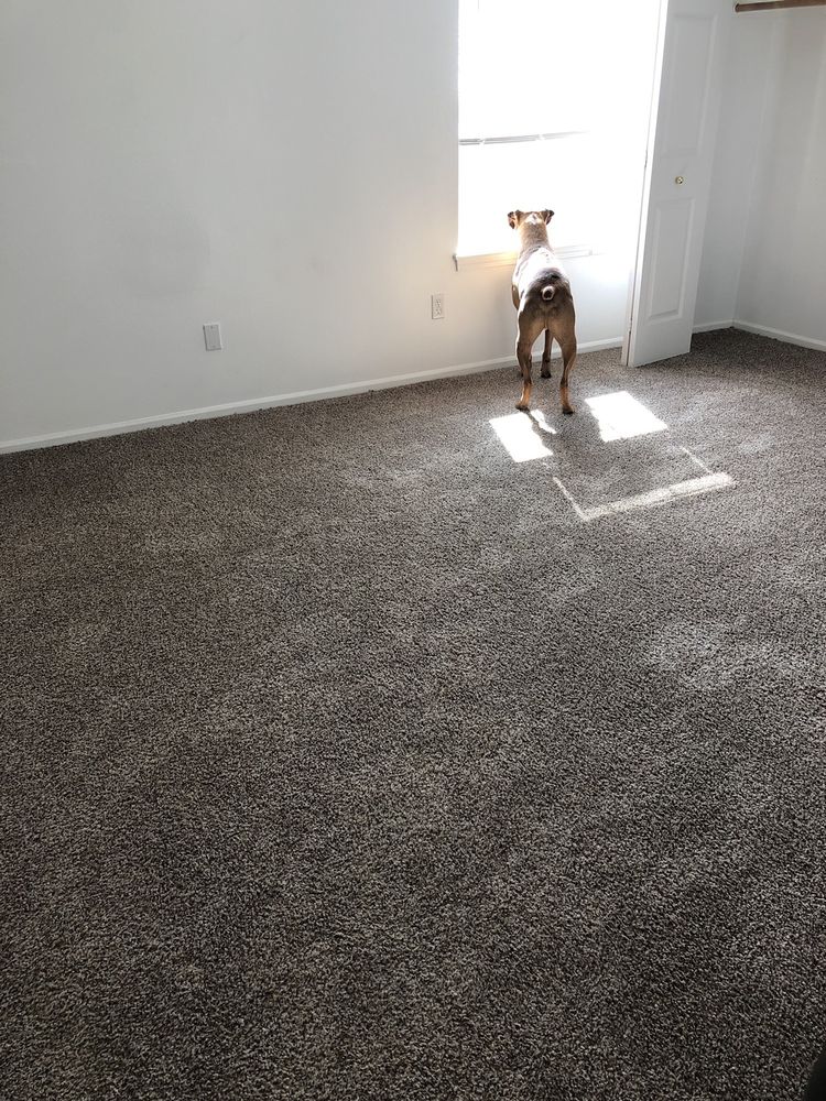 ZEROREZ WILLAMETTE VALLEY 31 Photos & 43 Reviews Eugene, OR Yelp