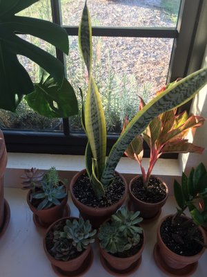 Southall Farm & Inn Farmstand by null