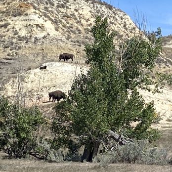 Theodore Roosevelt National Park - Parks Near Me - Medora, North Dakota Theodore Roosevelt National Park - Parks Near Me - Medora, North Dakota