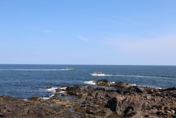 Marginal Way Preservation Fund by null