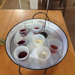 Ugly Bunny Winery - Samples of wine