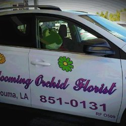Blooming Orchid Florist