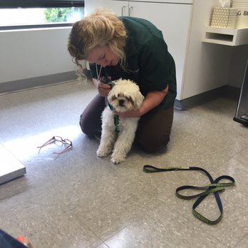 Muirfield Animal Hospital - Veterinarians Near Me - Dublin, Ohio Muirfield Animal Hospital - Veterinarians Near Me - Dublin, Ohio