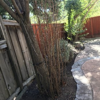 Garden - AFTER - weeds gone - Gardeners Near Me Garden - AFTER - weeds gone - Gardeners Near Me