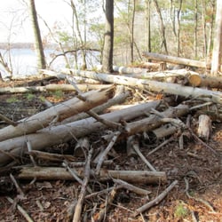 Turner Reservior Loop - Lots of fallen trees