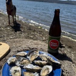 West Coast In Motion - Tomales Bay Oyster Experience!