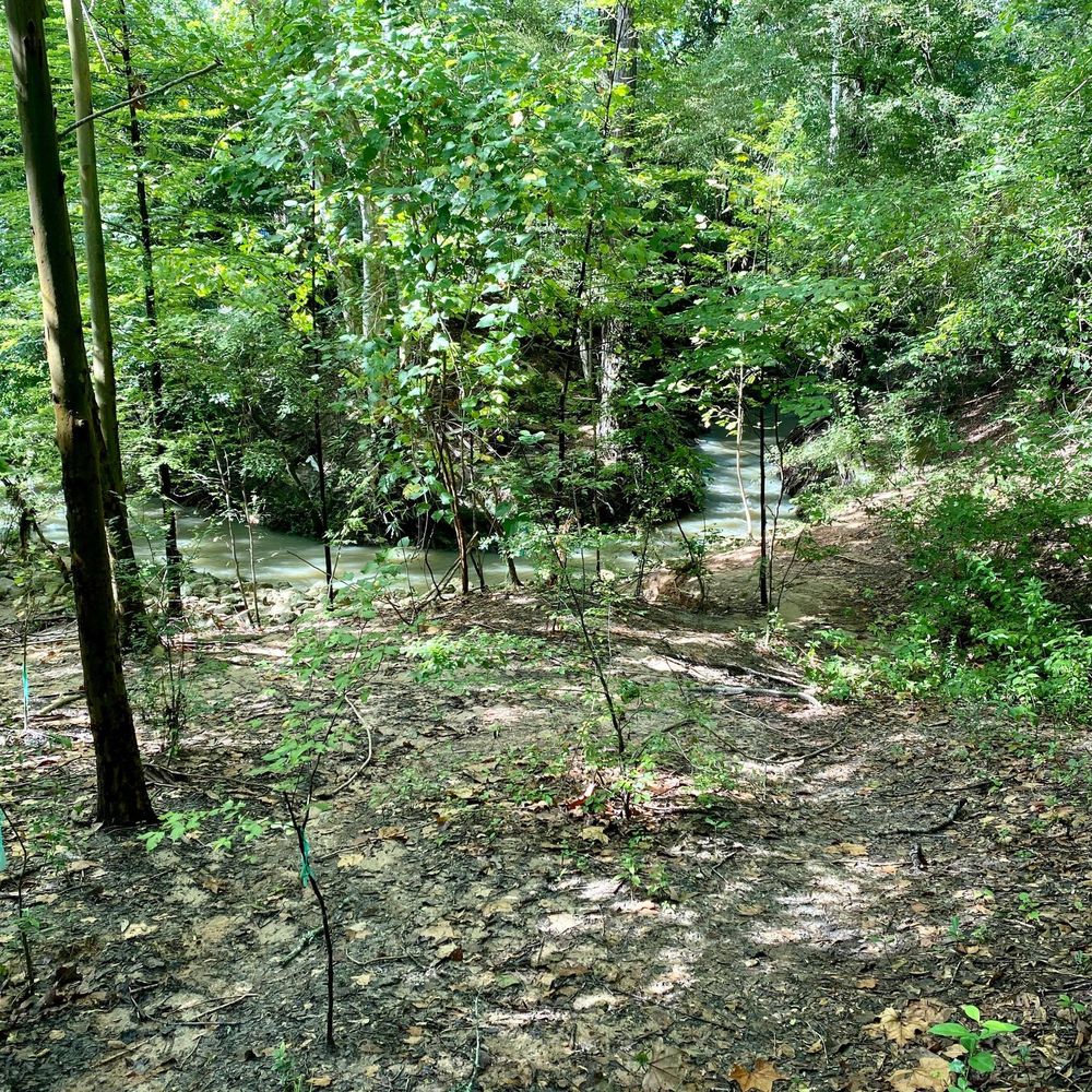 Edith L Moore Nature Sanctuary - Parks Near Me - Houston, Texas Edith L Moore Nature Sanctuary - Parks Near Me - Houston, Texas