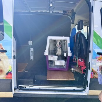Island Pet Movers - Pet Transportation Near Me - Honolulu, Hawaii