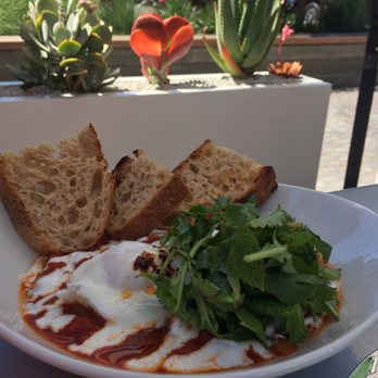 Cafe Réveille - Shaksuka with mint cilantro and arugula bouquet - Coffee & Tea Near Me - Berkeley, California Cafe Réveille - Shaksuka with mint cilantro and arugula bouquet - Coffee & Tea Near Me - Berkeley, California