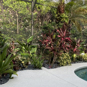 All Terrain Landscaping - a pool surrounded by tropical plants - Landscaping Near Me - Parkland, Florida All Terrain Landscaping - a pool surrounded by tropical plants - Landscaping Near Me - Parkland, Florida