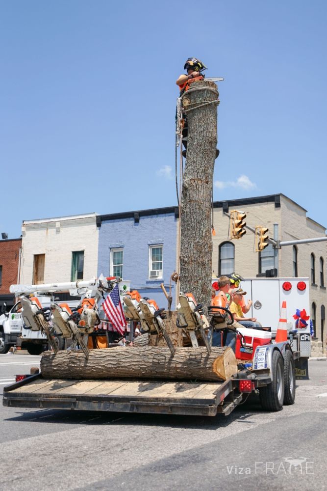 Rood Feller - tree service in Ripley, WV