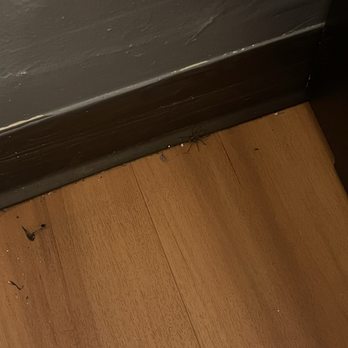 Motel 6 - More spiders - Hotels Near Me - Sullivan, Missouri