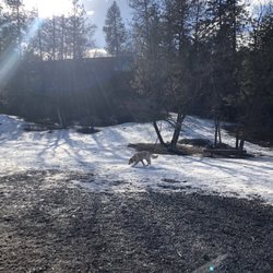 Spokanimal Dog Park At High Bridge