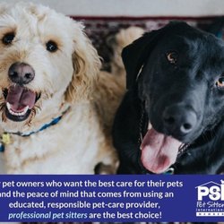 pet sitting georgetown