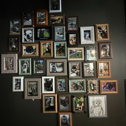 Grains of Wrath Brewing - Pet wall - love this!