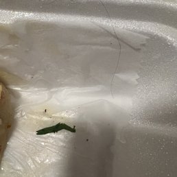Hair in my food Hair in my food