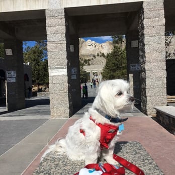 Mount Rushmore National Memorial - No dogs. - Landmarks & Historical Buildings Near Me - Keystone, South Dakota