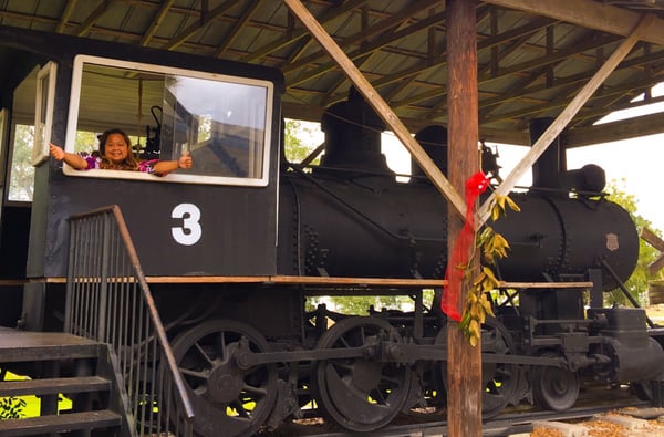 Pioneer Florida Museum & Village by null